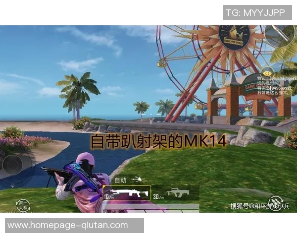 和平精英巨献：深入解析LNG的极速战斗与策略运用